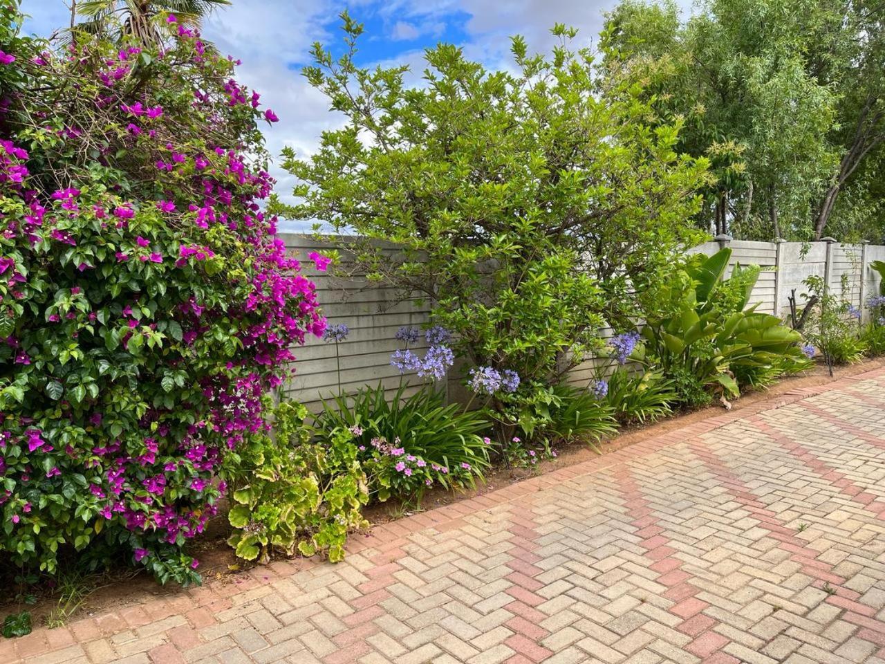 Oppi Draai Guesthouse Oudtshoorn Exterior foto